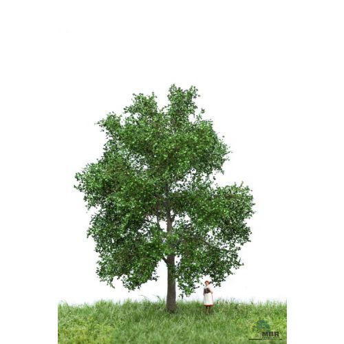Løvtrær, , MBR51-2202