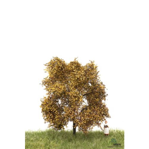 Løvtrær, , MBR52-2103
