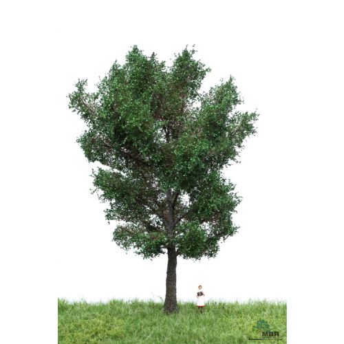 Løvtrær, , MBR51-2306