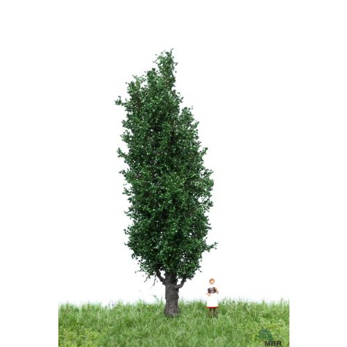 Løvtrær, , MBR51-2207