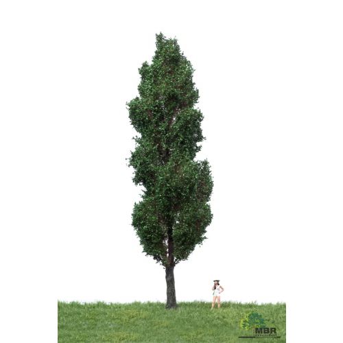 Løvtrær, , MBR51-2407